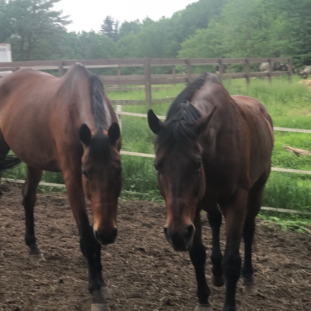 Meet your Posher, Angela